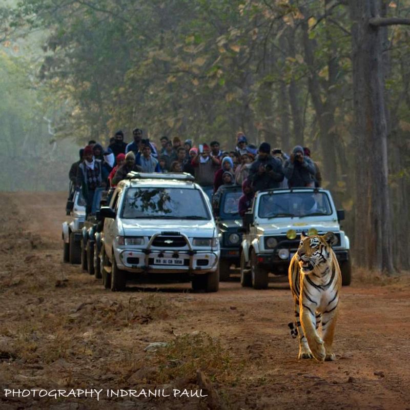 Tiger Reserves