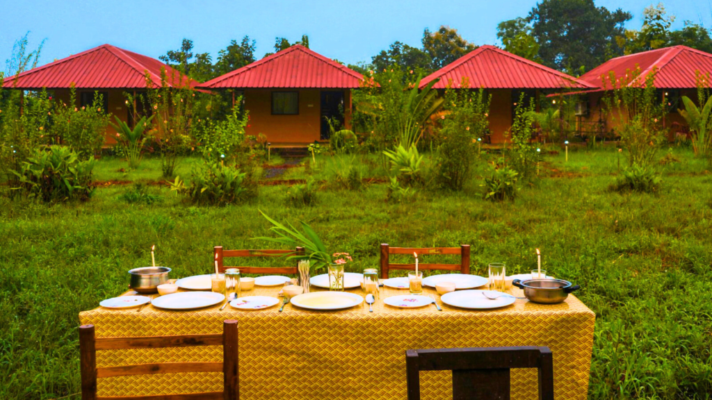 Discover the Best Resorts Near Moharli Gate Tadoba