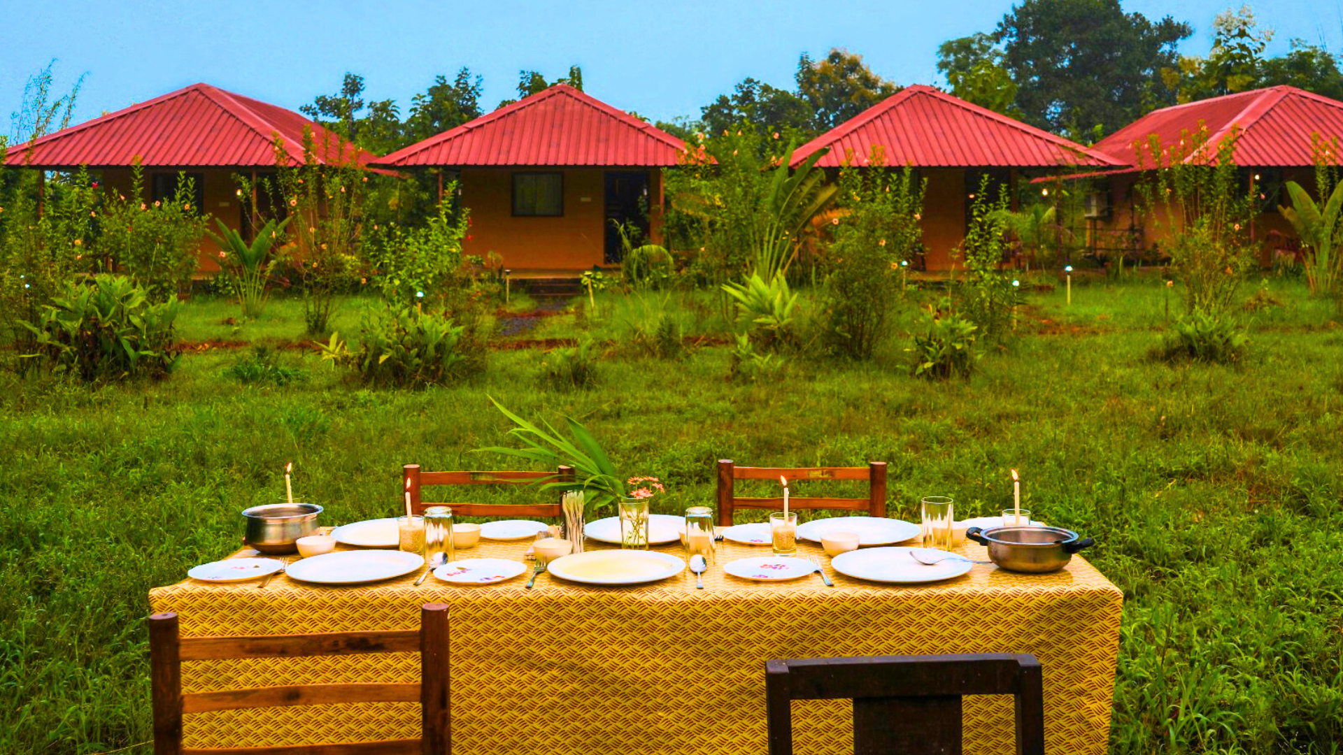 Tadoba Safari Stay Best Resort in Tadoba for Nature Lovers Best Resorts Near Moharli Gate Tadoba